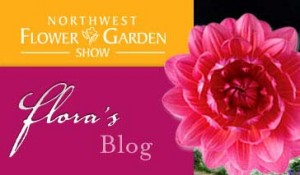 Northwest Flower & Garden Show