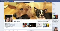 Facebook Timeline Sample Facebook Timeline Sample