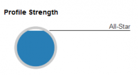 LinkedIn All-Star Profile 1